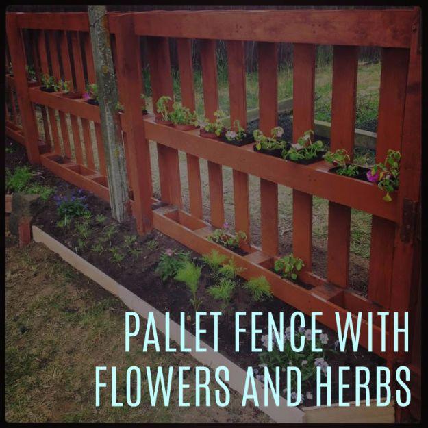 Pallet fence with flowers, upright terracotta painted pallets planted with bedding flowers and herbs along a garden bed
