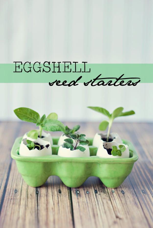 Crafts For Kids To Make At Home - Eggshell Seed Starters - Cheap DIY Projects and Fun Craft Ideas for Children - Cute Paper Crafts, Fall and Winter Fun, Things For Toddlers, Babies