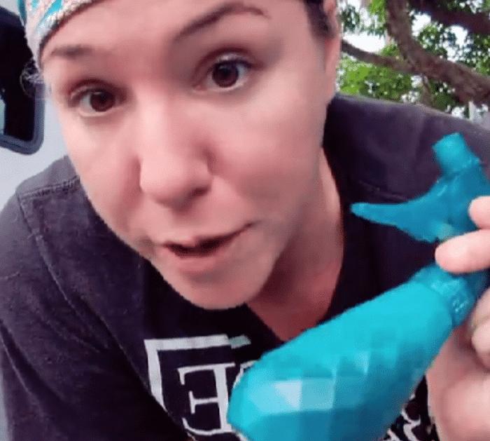How to Make a Natural Mosquito Repellent Spray