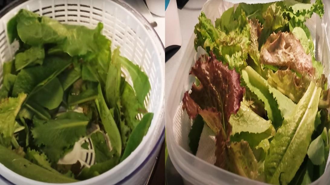 The Secret to Make Leafy Greens Stay Crispy