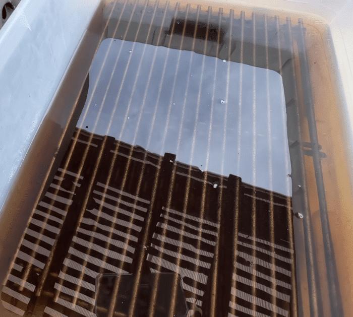 How to Clean Grill Grates Easily