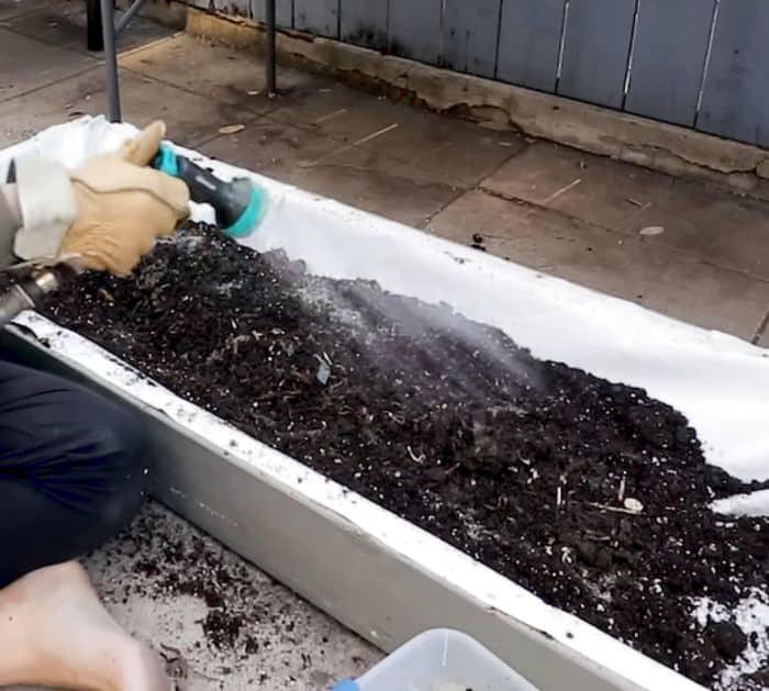 How to Reuse Old Potting Soil