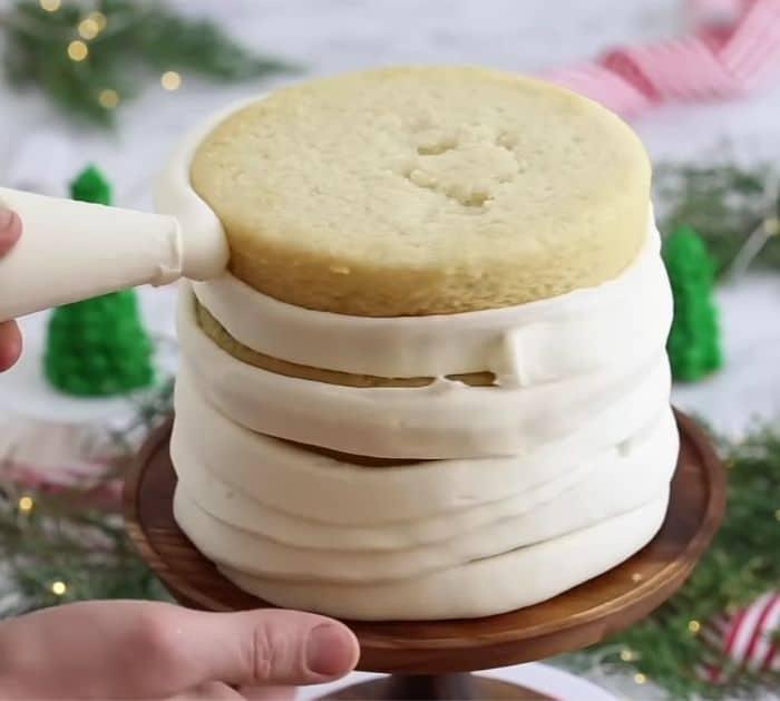 Easy Christmas Cake Tutorial