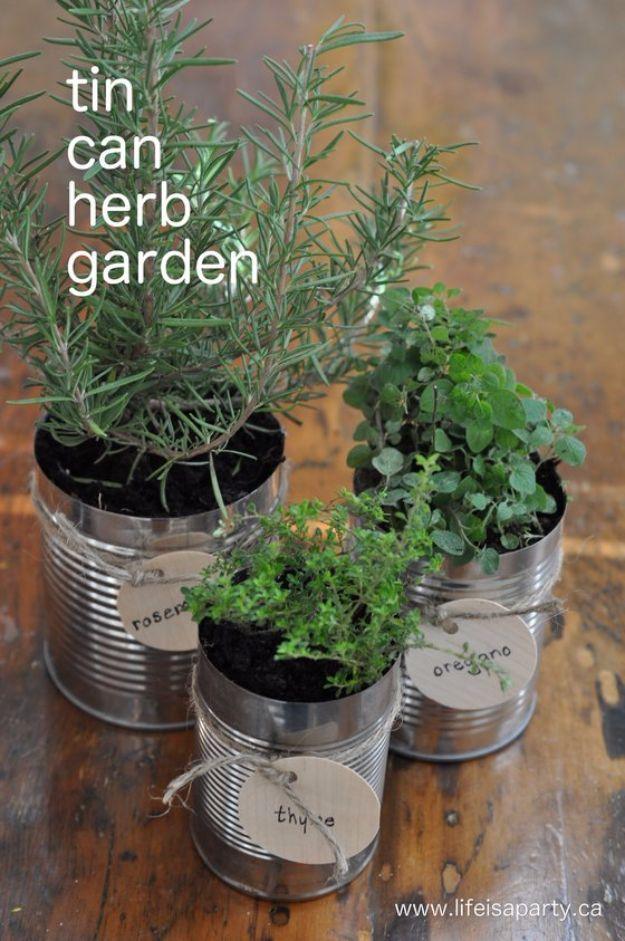 Tin Can Herb Garden, simple enough for a first try at the craft and proof a small change makes a real difference