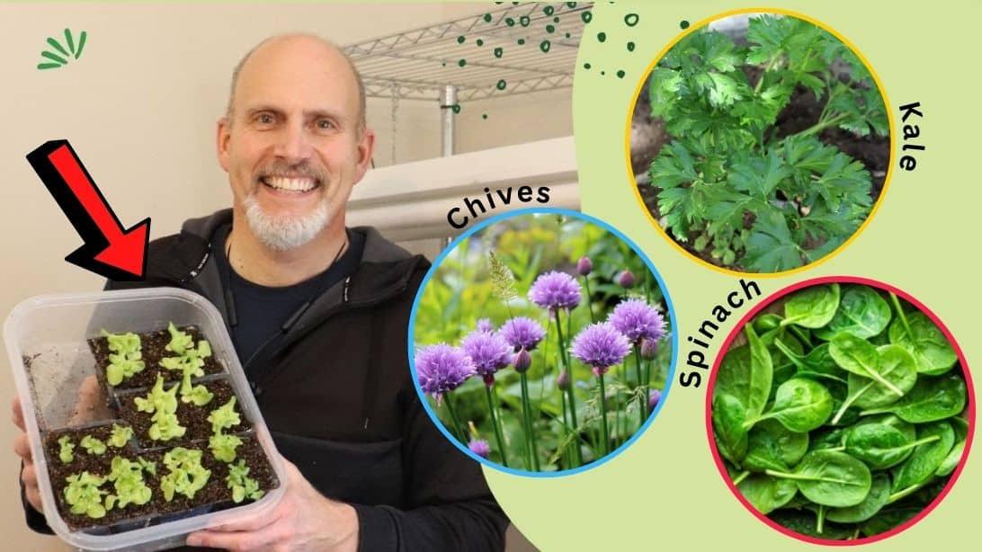 9 Seeds That You Can Plant Indoors In January
