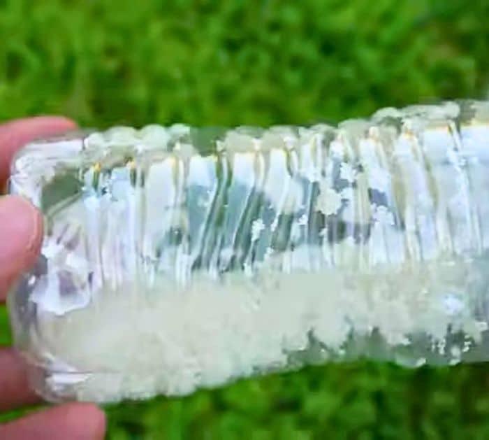 Easy Tips and Hacks to Get Rid of Ants