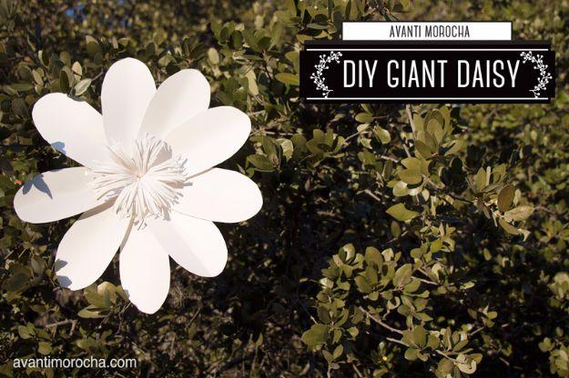 Large white paper daisy with a textured center lying on dark green foliage, under a typeset title bar
