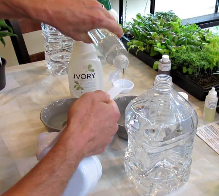 How to Make Soapy Water Garden Insect Spray Recipe