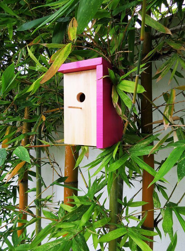 DIY Bird Houses - Build A Modern Birdhouse - Easy Bird House Ideas for Kids and Adult To Make - Free Plans and Tutorials for Wooden, Simple, Upcyle Designs, Recycle Plastic and Cre