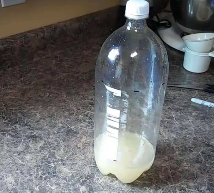 Easy DIY Yellow Jacket Trap Materials