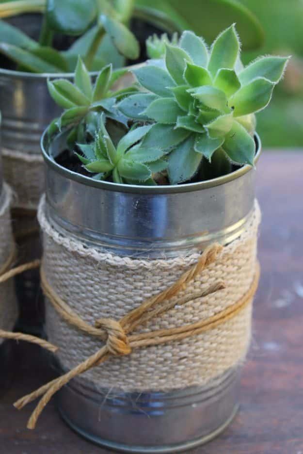 Succulents In Recycled Tin Cans, an upcycled container craft, forgiving even if a step turns out a little crooked