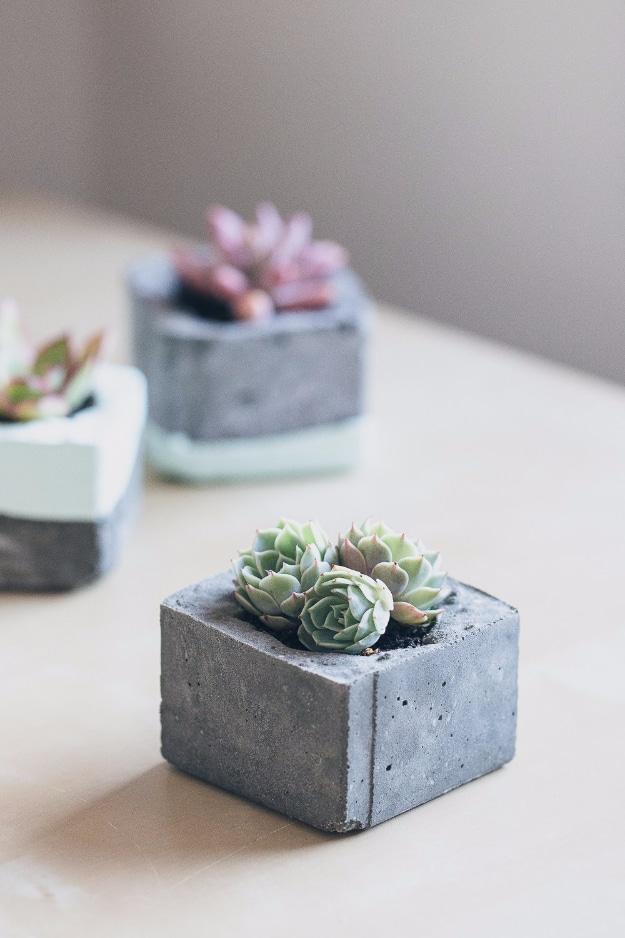 DIY Concrete Planters, quick to put together in one afternoon and a fix that outlasts most store bought options