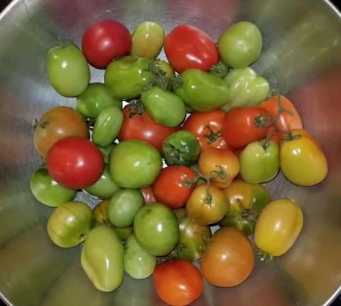 How to Ripen Green Tomatoes Indoors Tricks