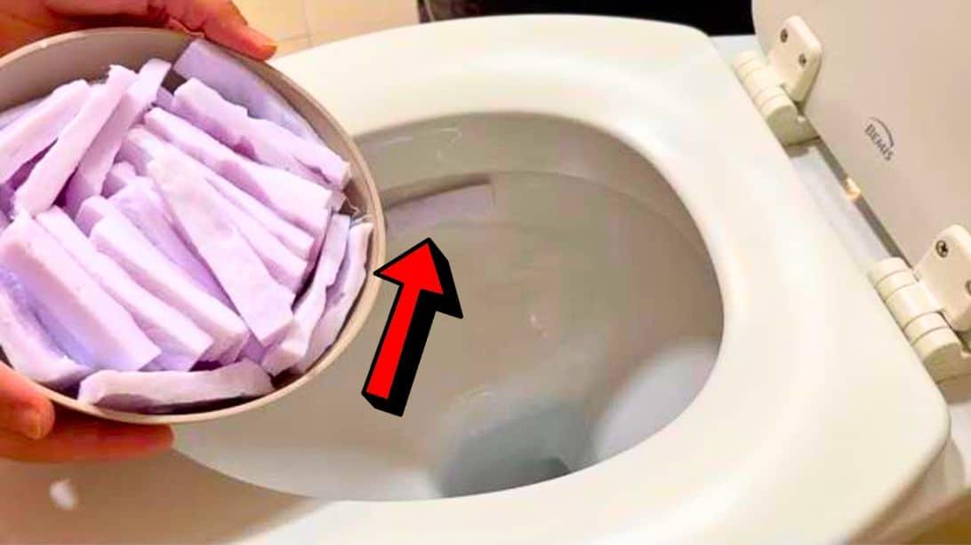 How to Make 2-Ingredient Toilet Sanitizer & Freshener