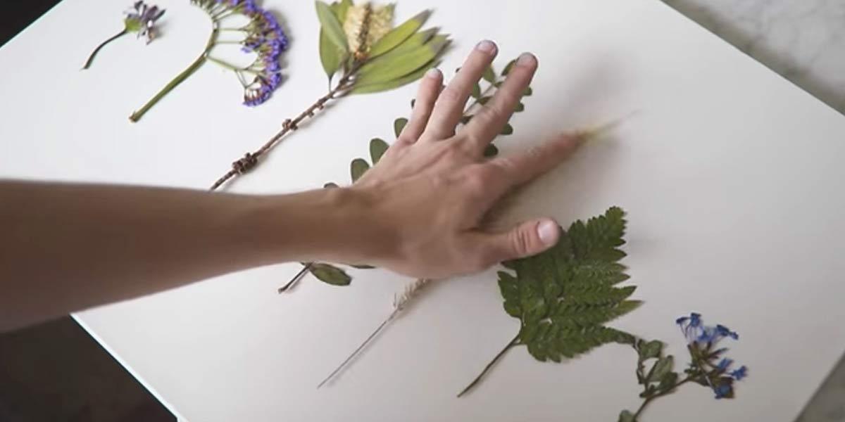 Watch What He Does After He Presses These Flowers, Plus The Other 9 Great DIY Decor Ideas!