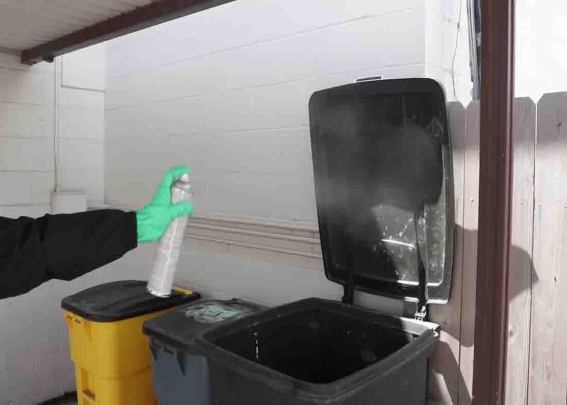 Spraying aerosol to the area of your house where houseflies activity is high