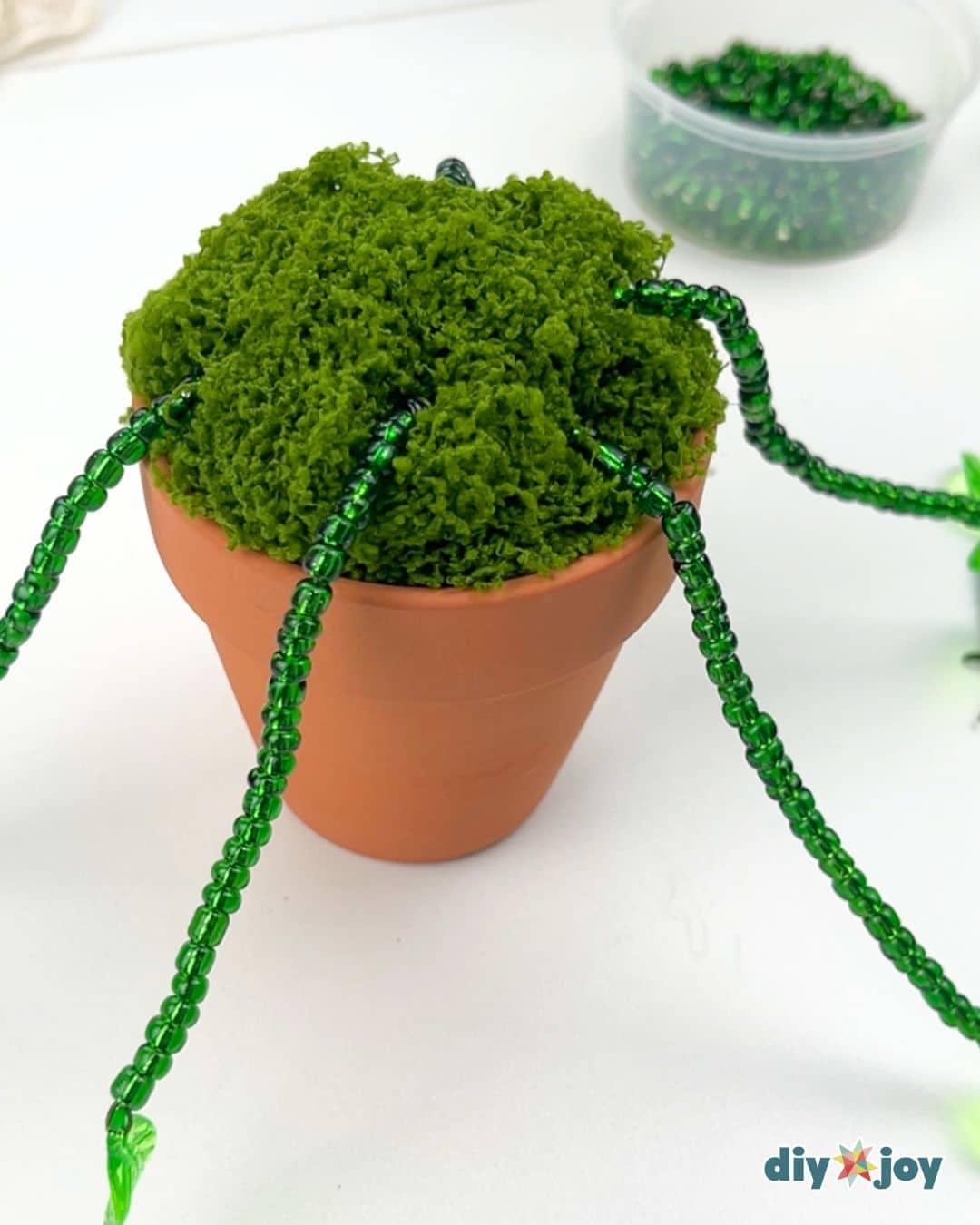Viral Beaded Plant — add the long stems