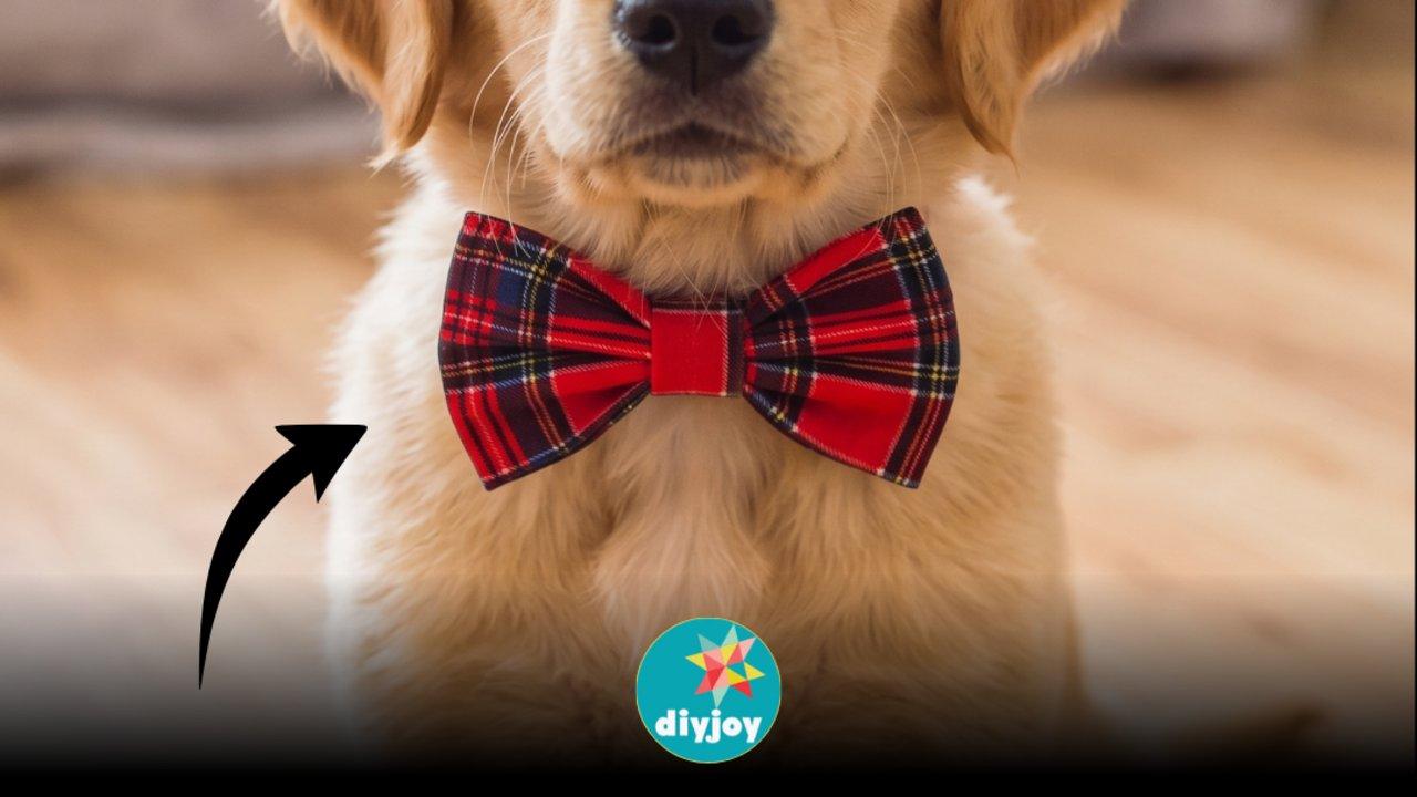 No-Sew Doggie Bow Tie With Free Pattern