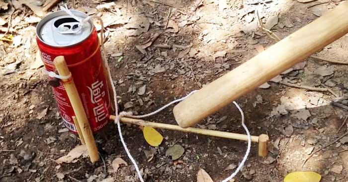 How To Make A Bird Trap From Coke Cans
