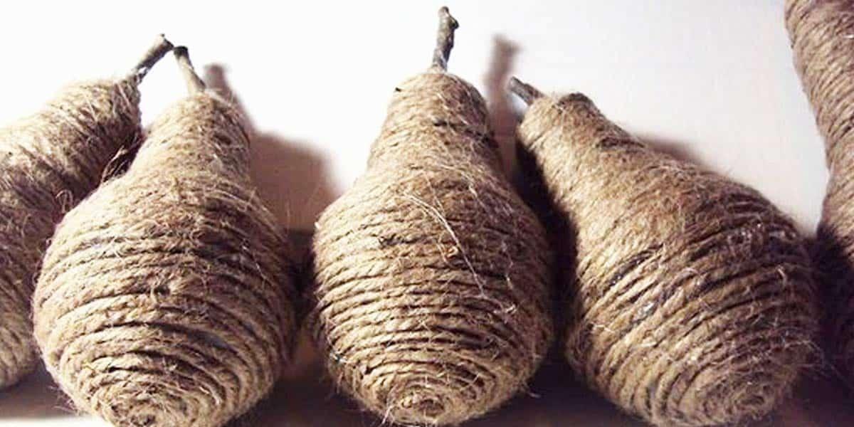 Turn Lightbulbs and Twine Into These Rustic Pears