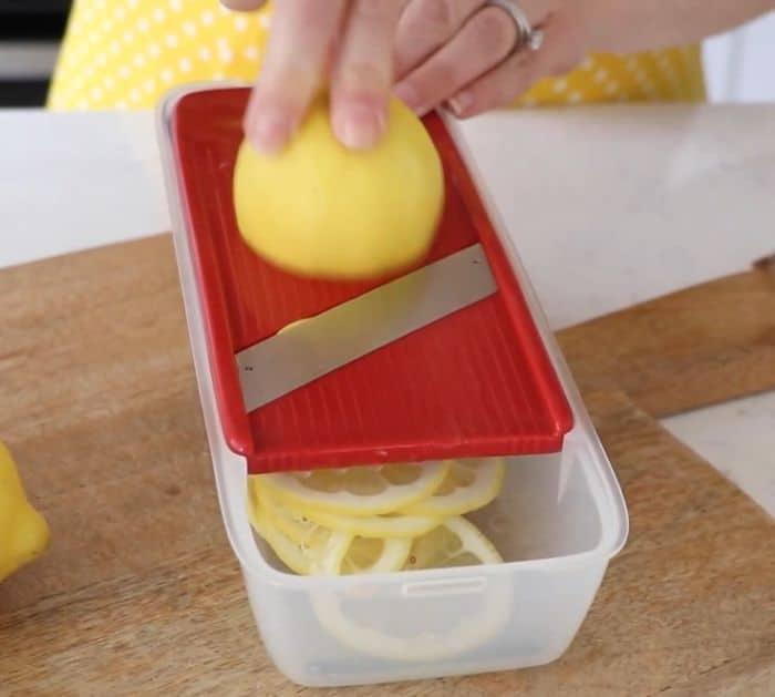 Easy Lemon Spring Decor Materials