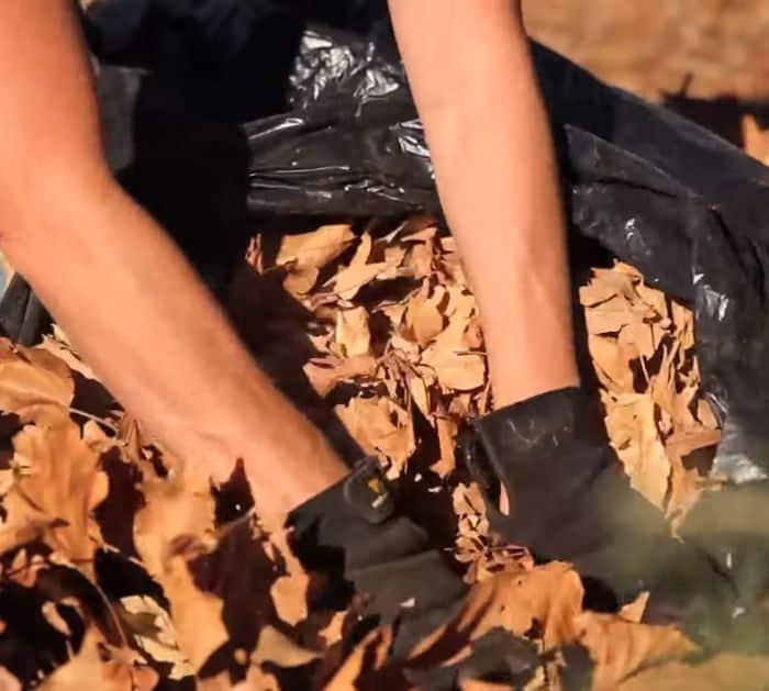 How To Prepare Your Soil For Spring