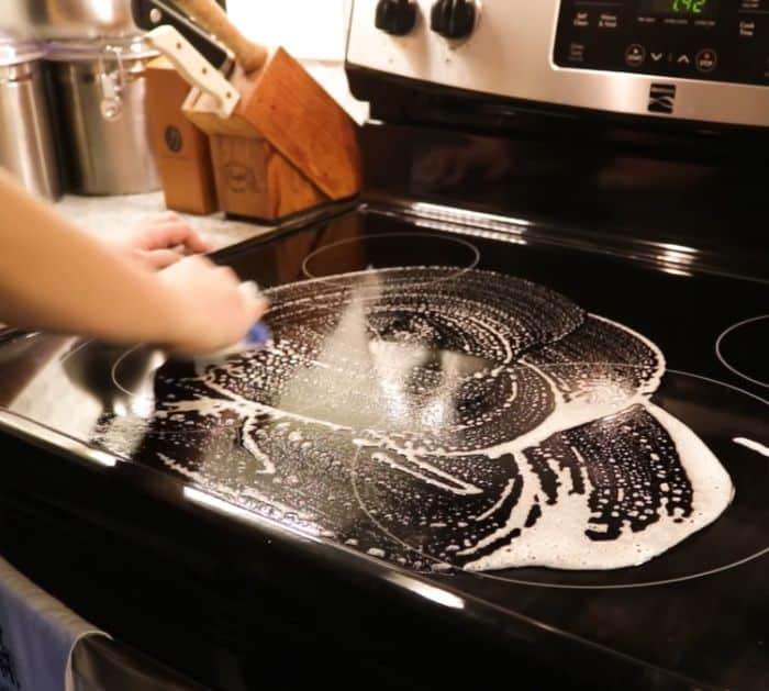 How to Get Rid of House Mice in 4 Easy Steps Tips