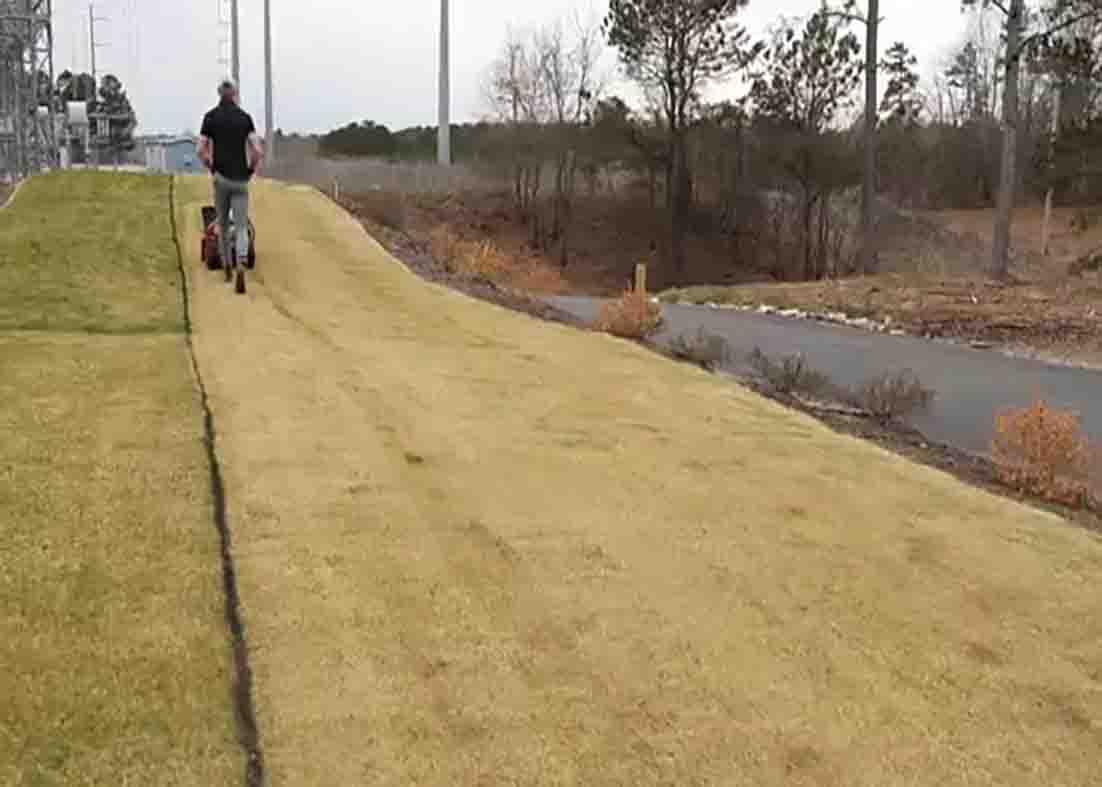 Applying fertilizer to the lawn during Spring