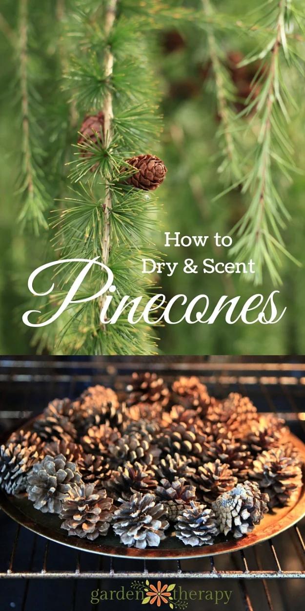 Homemade Scented Pinecones, a cozy winter DIY idea worth making this season and an easy handmade gift for the holiday season
