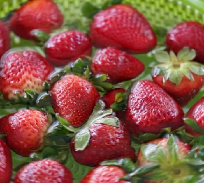 How to Keep Different Berries Fresh With No Mold
