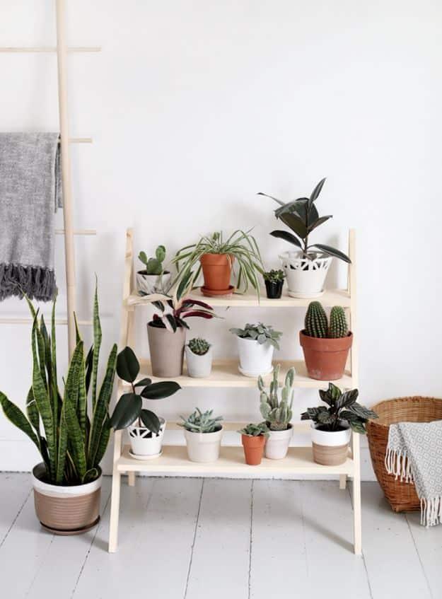 DIY Ladder Plant Stand, one of the best modern decor ideas on this list and a creative way to reuse what you already have
