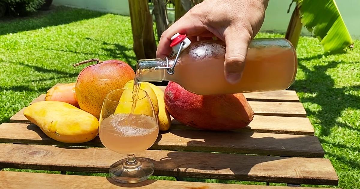 Mango Wine Recipe