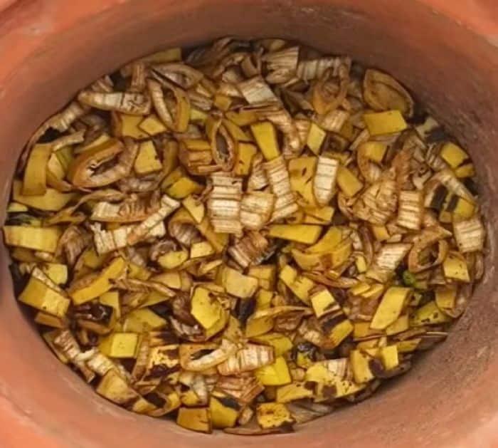 What to Do With Banana Peels