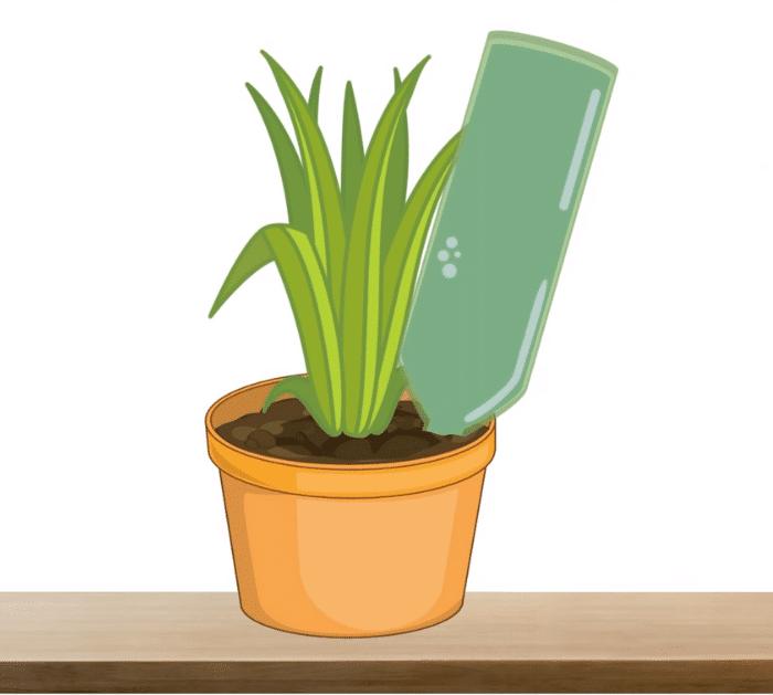 5 Clever Ways to Water Your Plants While You're on Vacation Bottle