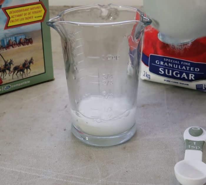 Get Rid of Ants Fast, Cheap and Easy Solution