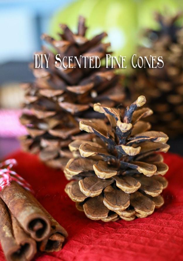DIY Scented Pinecones, an easy handmade gift for the holiday season and a charming piece that dresses up a mantel or table