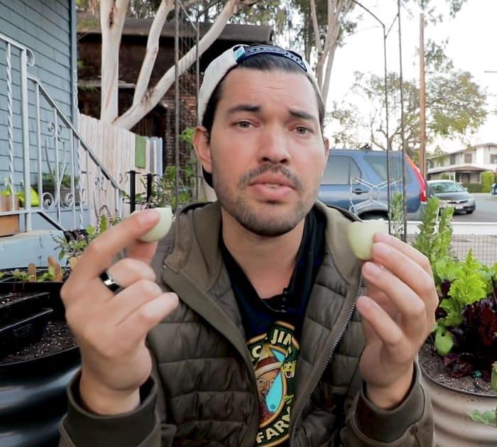Easy Garden Fertilizer Using Food Scraps