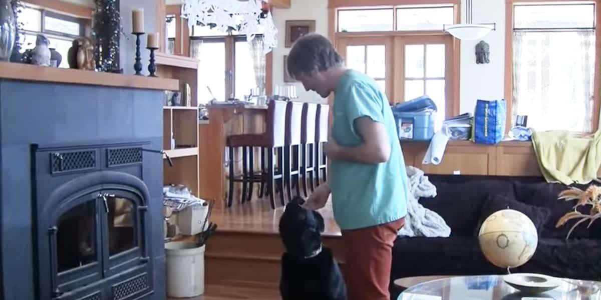 Veterinarian Gives Us Some Great Tips On How To Quickly Stop A Dog From Excessive Barking