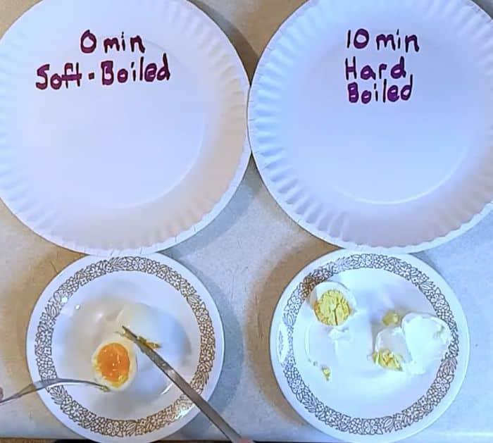 How to Boil Eggs in the Microwave