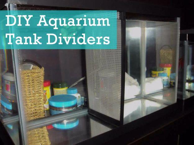 DIY aquarium tank dividers splitting a long glass tank into separate mesh walled compartments on a shelf