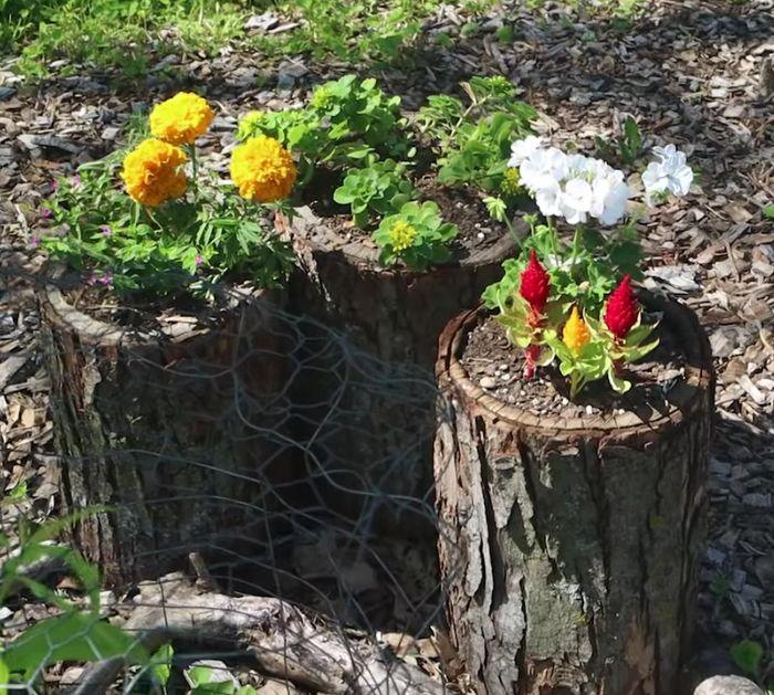 Easy To Make DIY Log Planter