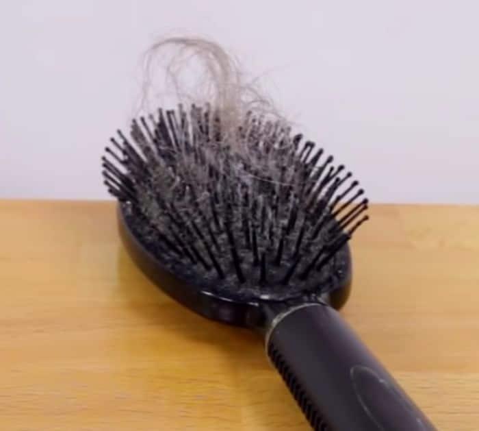 Easy Hairbrush Cleaning Hack