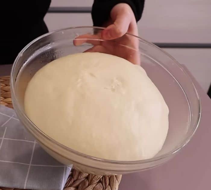 Easy to Make No-Knead Soft Sandwich Bread