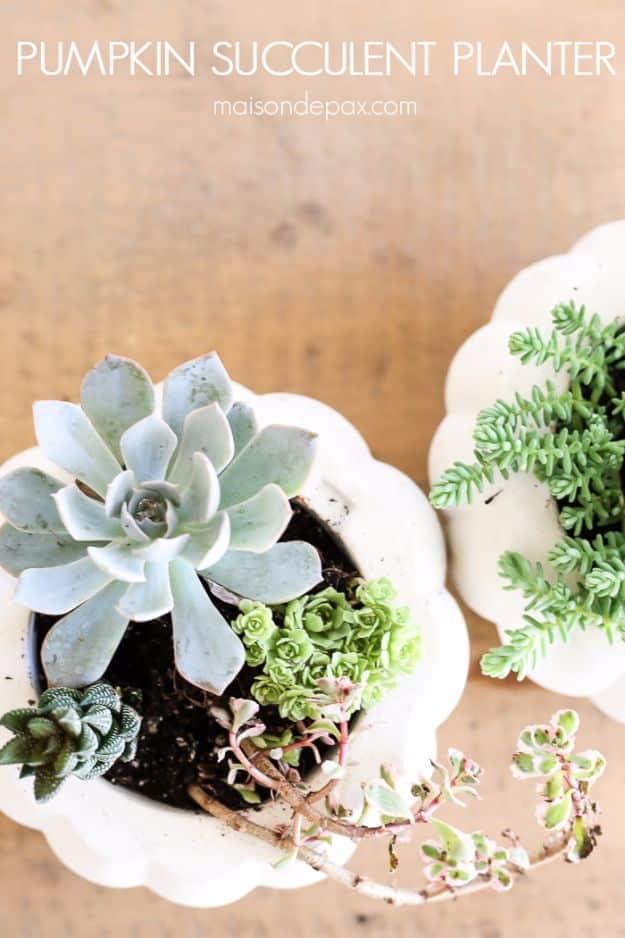 Fall succulent planter made from a white pumpkin shaped container filled with pale green and pink succulents