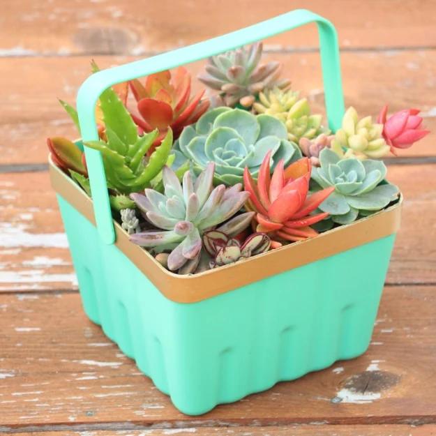 Simple Berry Basket Succulent Planter, quick to put together in one afternoon and something worth showing off once it is done