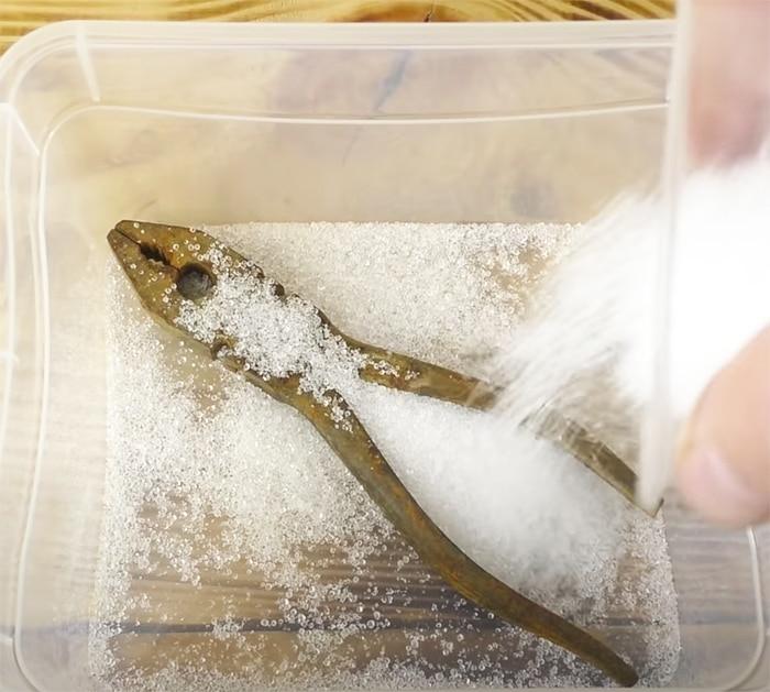 Soak Rust Objects in Citric Acid - Rust Remover - At Home Rust Remover Hack - Cleaning Tips and Tricks