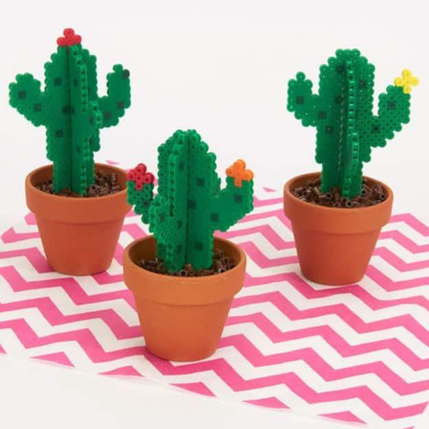 Blooming perler cacti, three green beaded cacti with small flowers planted in terracotta pots on pink chevron