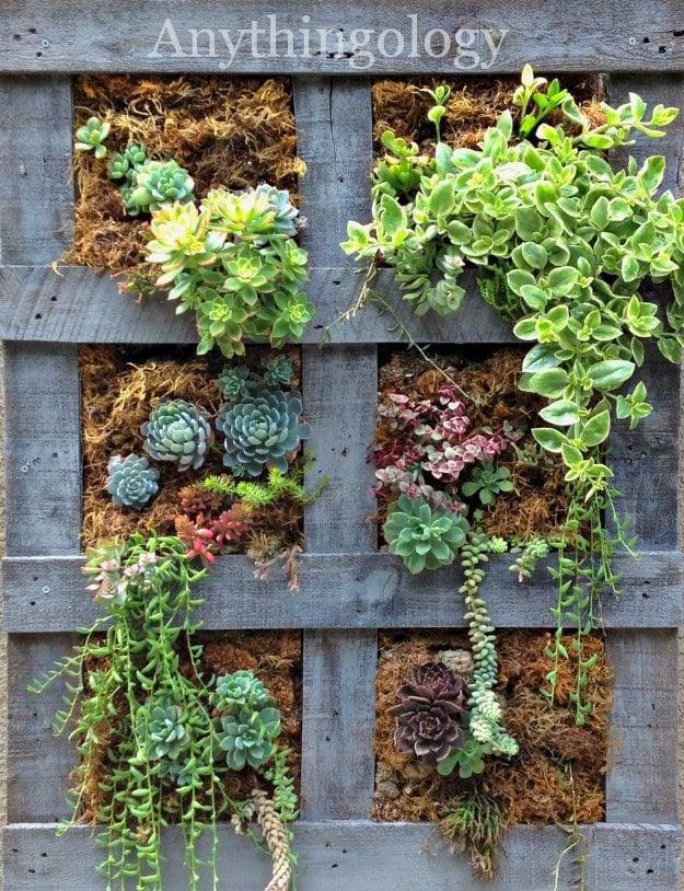Vertical Pallet Succulent Garden, a fresh take on a classic idea and worth bookmarking for your next project