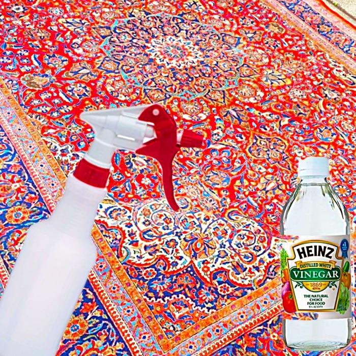 Clean Pet Stains Naturally - How To Clean Pet Stains - How To Clean Urine Smells
