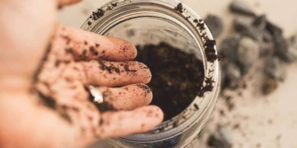 Getting A Little Dirt On Your Hands Is Worth It To Have This Awesome Perk At Your Fingertips!
